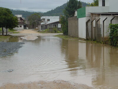 Imagem 4564